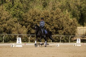 Straightness and Why It Matters in Canter